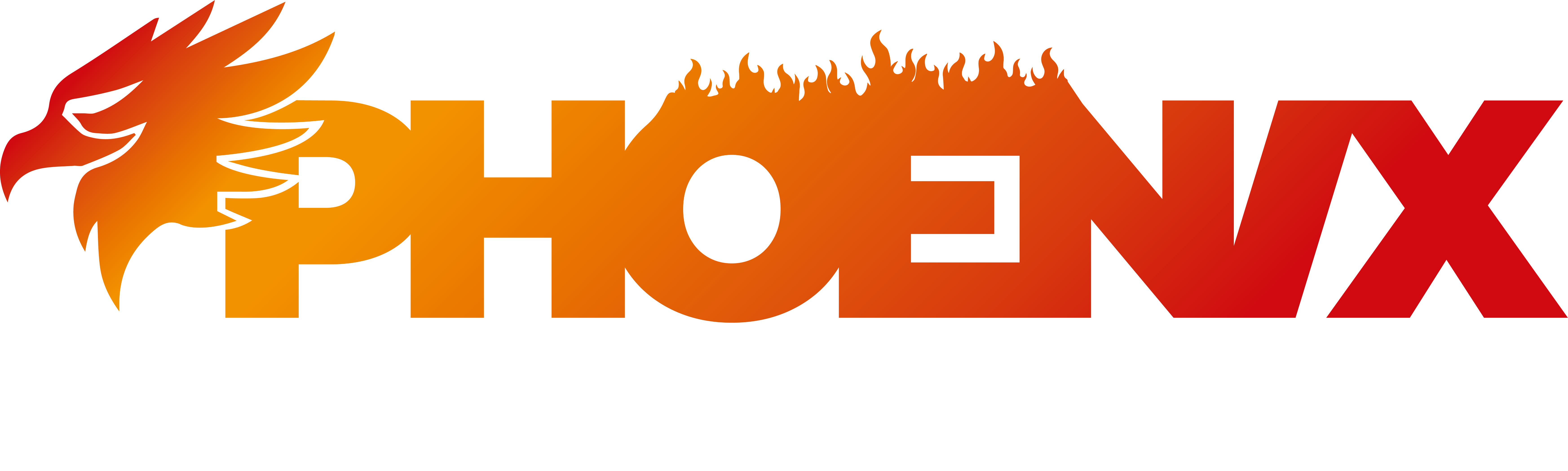 Phoenix Fire Protection